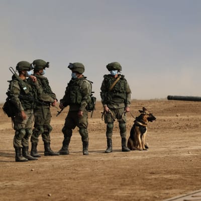 Ryska soldater plus en hund deltar i militärövning. 