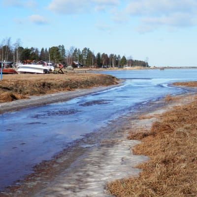 Vattnet från farmområdet i Jakobstad rinner ut i havet i Fäboviken.