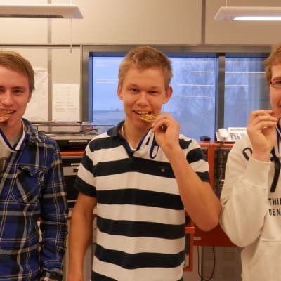 Robin Laine, Tobias Wik och Fredrik Kortell fick medalj i Mästare 2014 tävlingen i yrkeskunskap