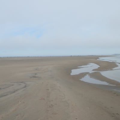 Sandbanken vid Mjölvacka
