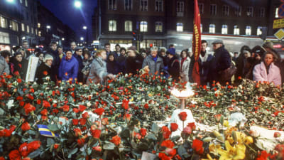 Blomsterhyllning till minne av Olof Palme i Stockholm efter mordet 28.2.1986