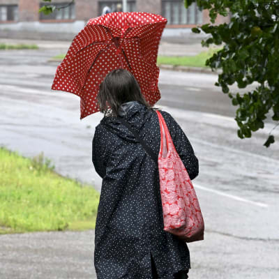 Sateenvarjoa pitelevä jalankulkija.