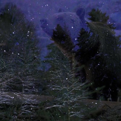 Kuvakollaasi, talvinen metsämaisema, taustalla iso karhun hahmo