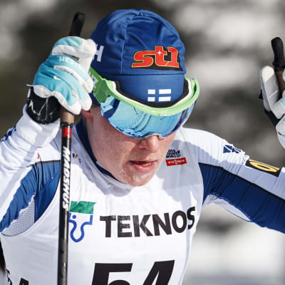 Krista Pärmäkoski