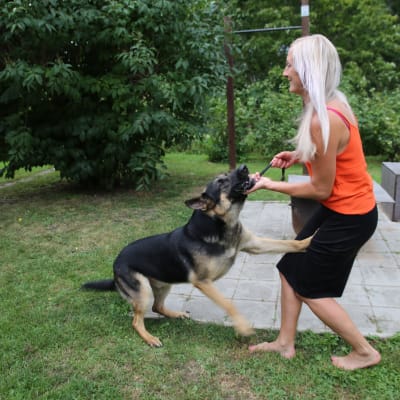 Laura Salmela leikkii koiransa kanssa.