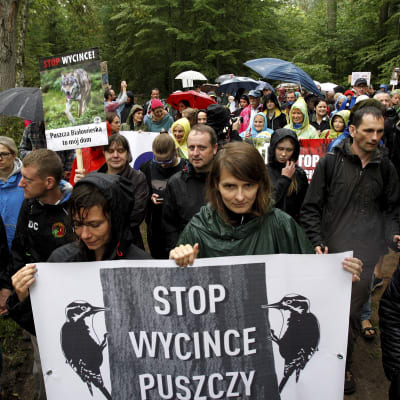 Lokala invånare deltog i en protest mot avverkningarna i Białowieżaskogen i augusti 2017.