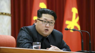 Sydkorea hävdar att Nordkoreas ledare kim Jong Un har avrättat en biträdande undervisningsminister och skickat en högt uppsatt partifunktionär i inre landsförvisning