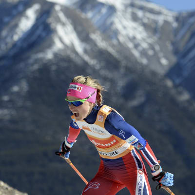 Therese Johaug skidar på hög höjd.