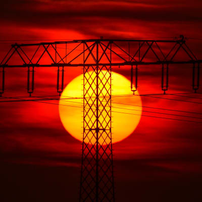 En elstolpe i soluppgång. 