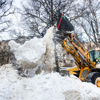 Lumiaura kasaa lunta helsinkiläisessä puistossa. Helsingin kaupunki käyttää vuosittain keskimäärin noin 25 miljoonaa euroa katujen ja puistoraittien talvihoitoon.
