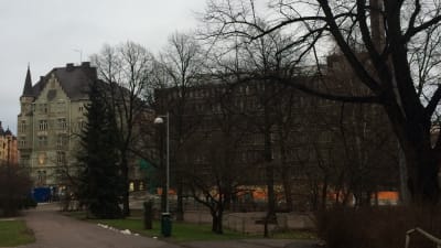 Yvonne Westerlunds hemmiljö Skatudden i Helsingfors.