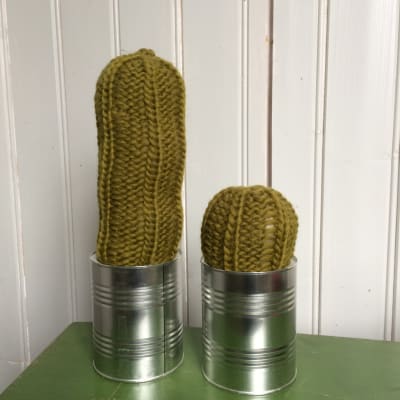Stickade kaktusar i konservburkar