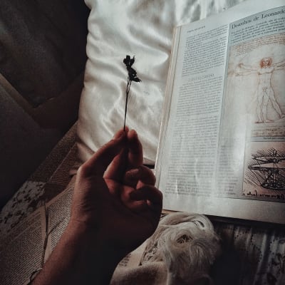 En hand som håller i en blomma ovanför en gammaldags bok. 