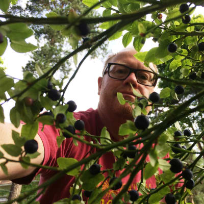 Selfie i blåbärskogen