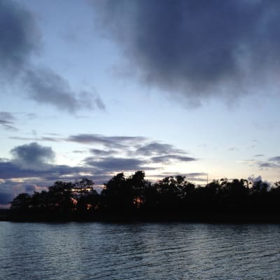 solnedgång
