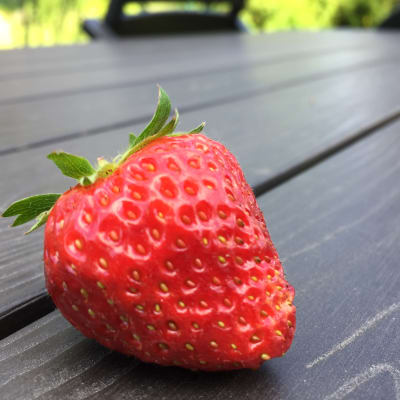 En stor jordgubbe i  närbild.