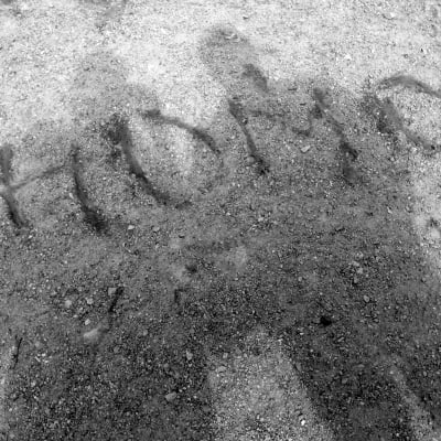 Skugga av två människor över ordet homo skrivet i sanden