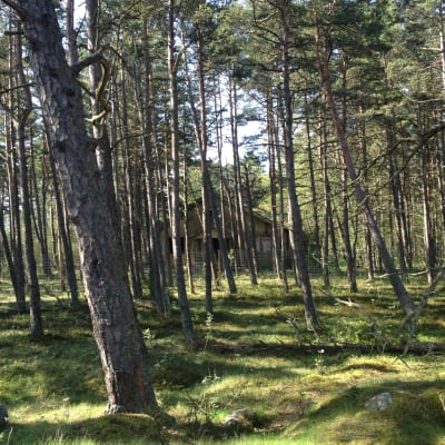 Gammal fånglägerbyggnad på Tulludden i Hangö
