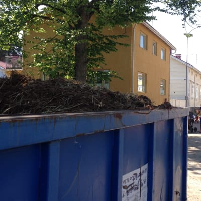 Hästavföring på en flake som står på en gata alldeles nära bostadshus.