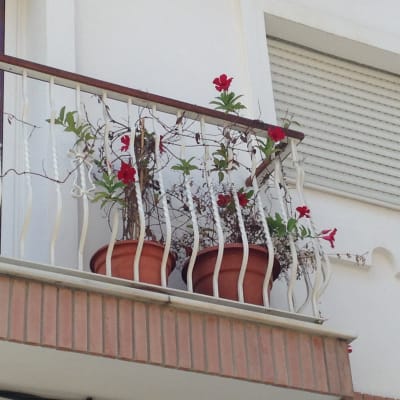 liten balkong med blomkrukor. Spanien