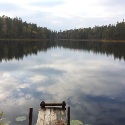 Långträsk i Tenala.