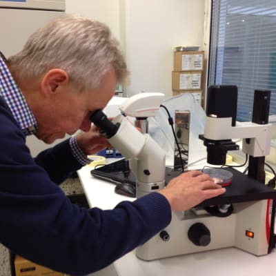 John Eriksson, professor i cellbiologi vid ÅA