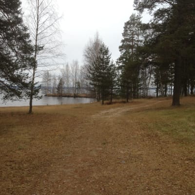 Strandremsa på brigadområdet i Kontioranta, Kontiolax