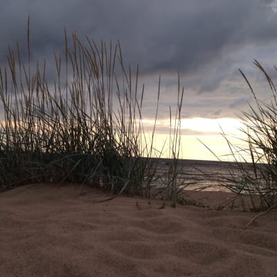 Kalajokis sanddyner i kvällsljus