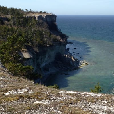 Gotlandskusten