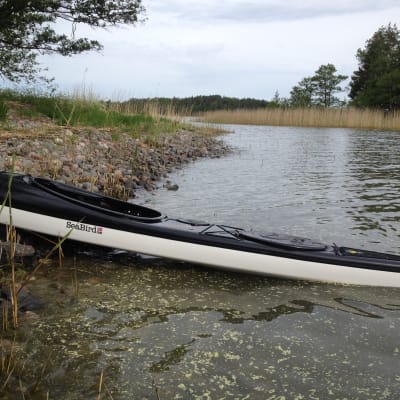 helt åt skogen,