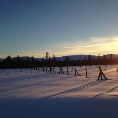 Melkein koskematon lumimaisema Kittilän Raattamassa kevättalvella 2015. Auringonvalo ja aita.