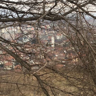 Vy över staden Gjakova i Kosovo genom en taggig buske