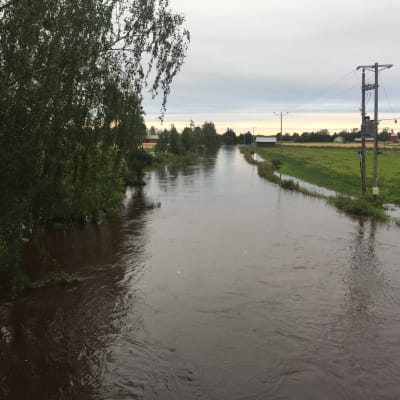 Toby å svämmar över.