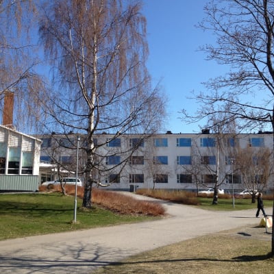 Donnerskan koulu ja ruotsinkielinen lukio.