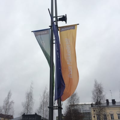 Liisa-myrsky ja Mikkelin keskusta torstaiaamuna.