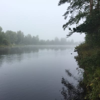 Pakarinjoki Ähtärin Alastaipaleen kylässä