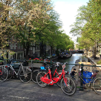 Cyklar vid kanal i Amsterdam