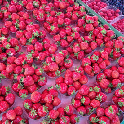 jordgubbar i plastaskar