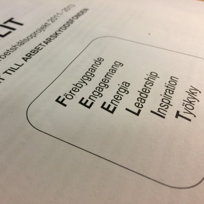 Stadens rapport om FEELIT