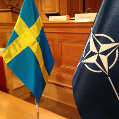 Natofebern är hög i Sverige