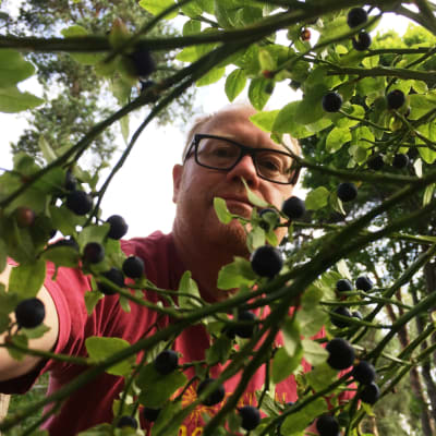 Selfie i blåbärskogen