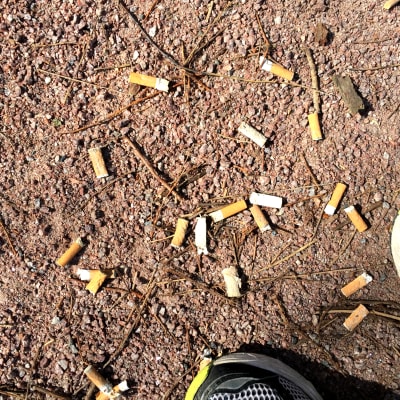 Cigarettfimpar och löpningsskor. 