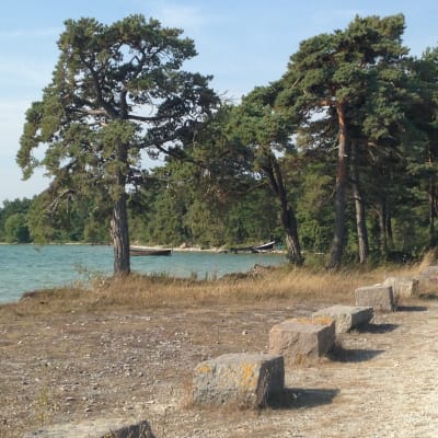 Området på Gotland där Nordkalk vill bygga ett kalkbrott.