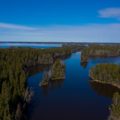 Dronella otettu maisemakuva, järveä ja metsää.