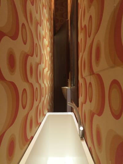 Erwin Wurm: Narrow House