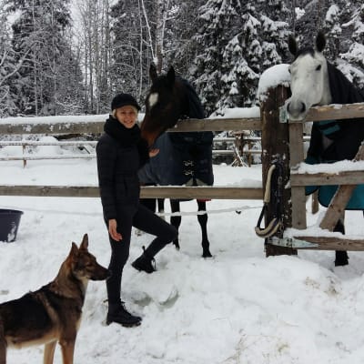Hästar och hund hos Sofia Kuula.