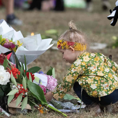 En liten flicka lägger blommor på en minnesplats i närheten av en av de drabbade moskéerna i Christchurch. Bilden tagen tisdagen 19.3.