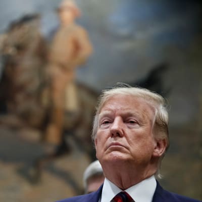 Donald Trump taidemaalauksen edessä.