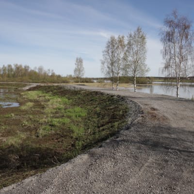 Alavudenjärven rannan vierelle on rakennettu Pahajoen kosteikko, jonka tarkoituksena on kerätä esimerkiksi pelloilta valuvia ravinteita ja kiintoaineita. 