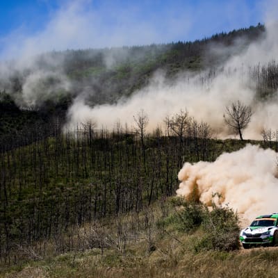 Jan Kopecky Skodallaan vauhdissa Portugalin MM-rallissa 2019.